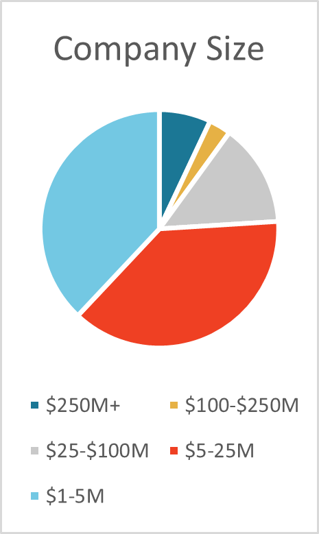 CEO Company Size