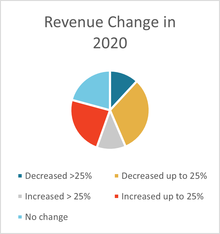 CEO Revenue change in 2020