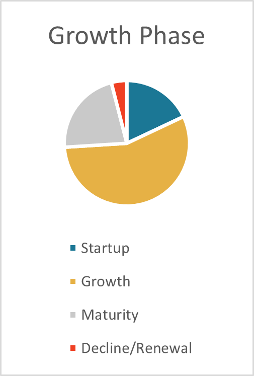 CEO growth phase